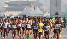 Boston Marafonu bu il baş tutmayacaq