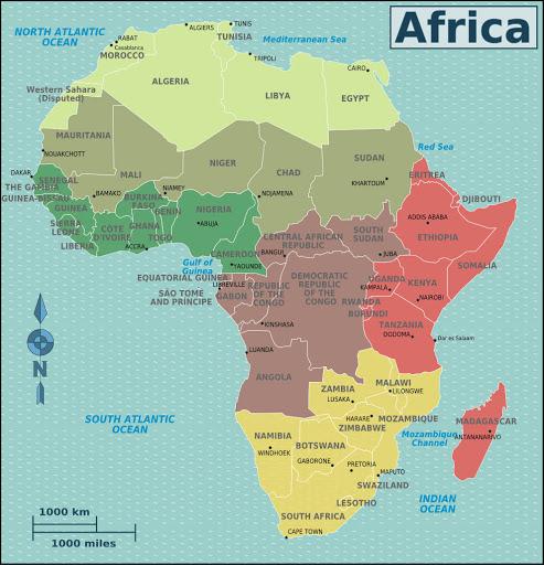 Afrikaya kim və niyə kömək edir?