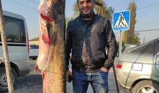 Kürdən 75 kiloqram ağırlığında naqqa balığı tutulub