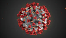 Azərbaycanda koronavirus (COVID-19) infeksiyasına 431 yeni yoluxma faktı qeydə alınıb