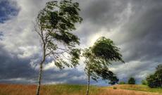 Sabahın hava proqnozu:  Güclü külək əsəcək, temperatur düşəcək