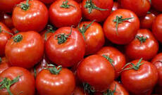 Pomidorun qiyməti “ceyran belində”: İstixanalar bağlanıb...